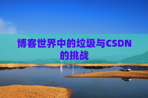 博客世界中的垃圾与CSDN的挑战
